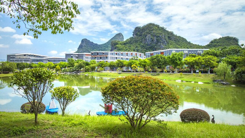 手机芯片与半导体：本质区别解析