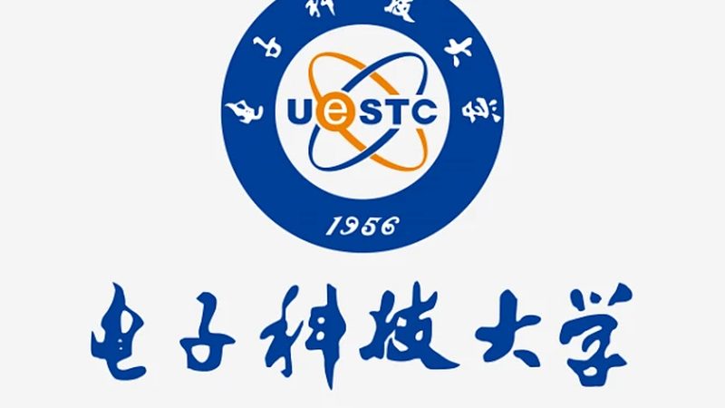 电子代工厂家排名揭秘：揭秘行业领军者的秘密武器